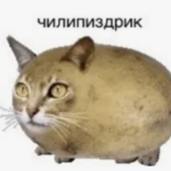 Mazzelovvvv