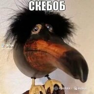 Cobaka