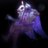 Jhin