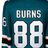 Burns