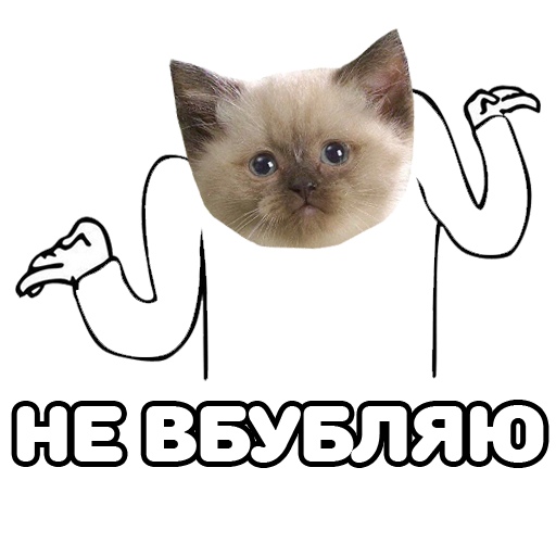 tywofrzwjas.jpg