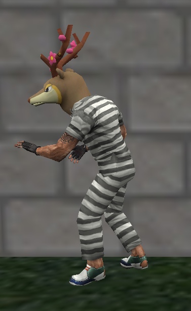 P5P75T6O_Bk.jpg